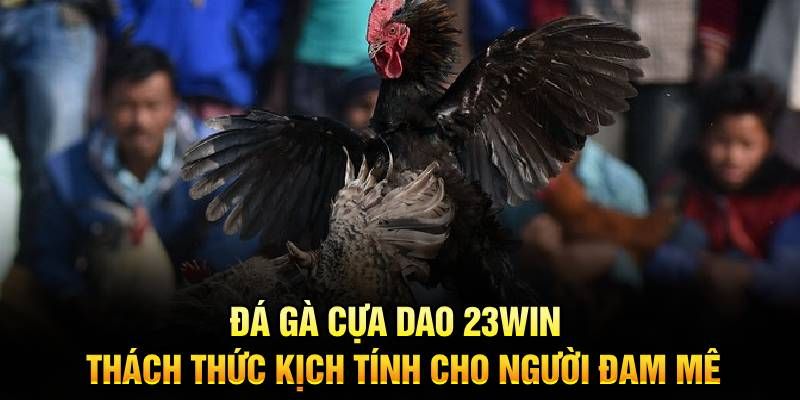 HIểu rõ khái niệm về đá gà cựa dao 23win là gì