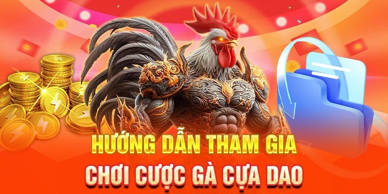 Những ưu điểm nổi bật giúp chọi kê cựa dao được yêu thích như hiện tại