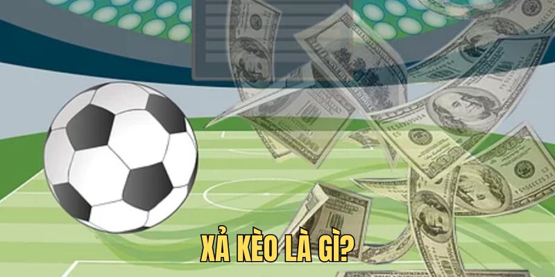 Tìm hiểu hình về xả cược cá độ