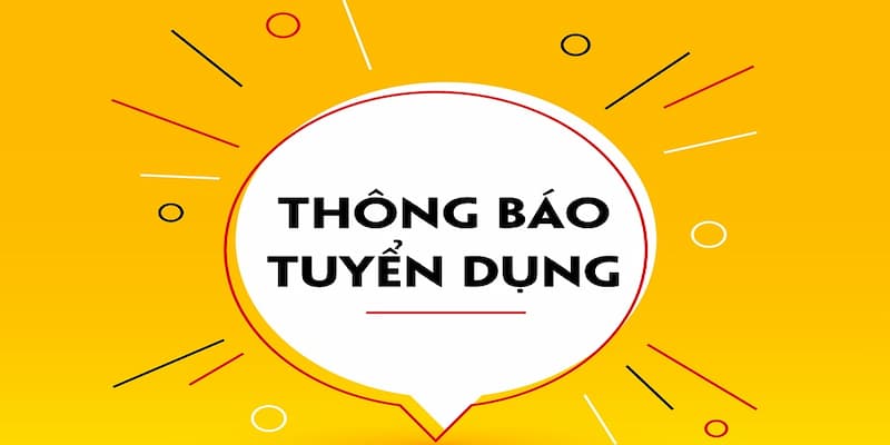 Những quyền lợi cho nhân sự làm việc ở 23WIN